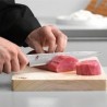 Cuchillos para Sushi y Sashimi - Cuchillos de cocina